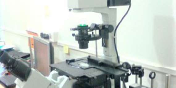 Integrated FCS--Microscope