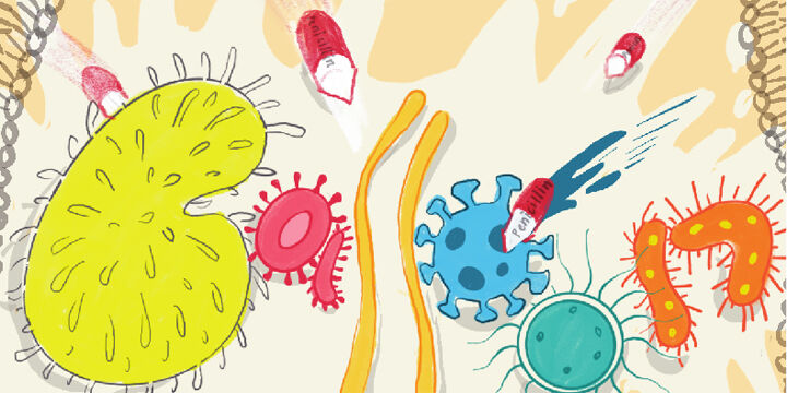 illustrations of bacteria in different colors and shapes